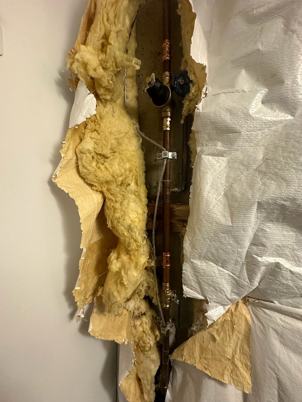 Main Water Valve